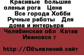 Красивые  большие оленьи рога › Цена ­ 3 000 - Все города Хобби. Ручные работы » Для дома и интерьера   . Челябинская обл.,Катав-Ивановск г.